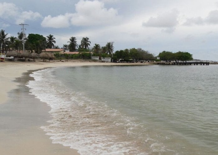 De Tierra Bomba o el dinosaurio que todavía está allí