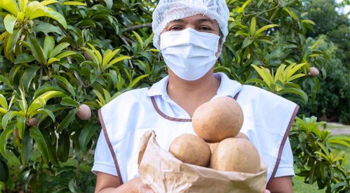  - El exitoso Festival del Mango y el Níspero que se llevó a cabo en el Atlántico