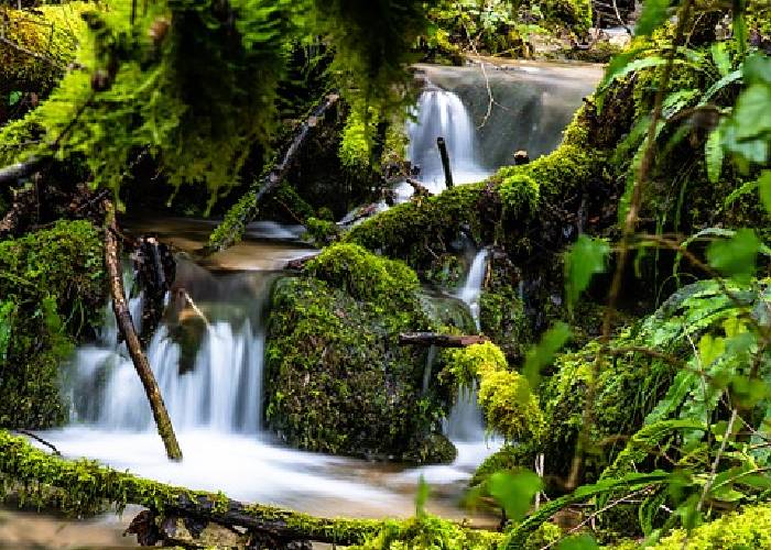 ¿Ser un país verde​ es una norma global?