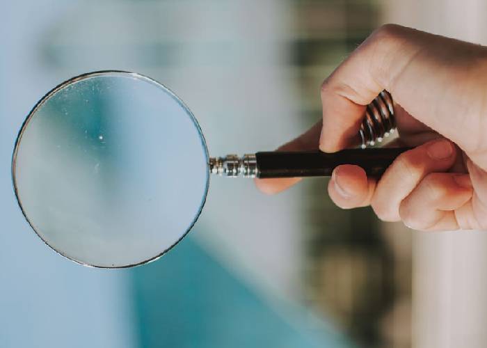 La curiosidad necesaria