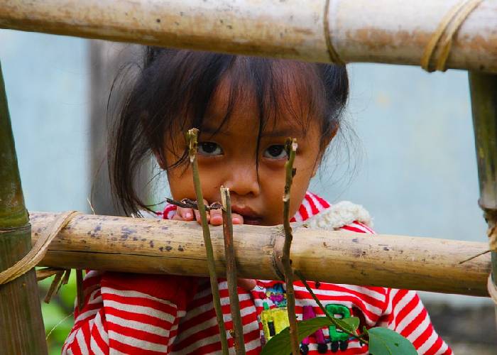 Herramientas para combatir la malnutrición