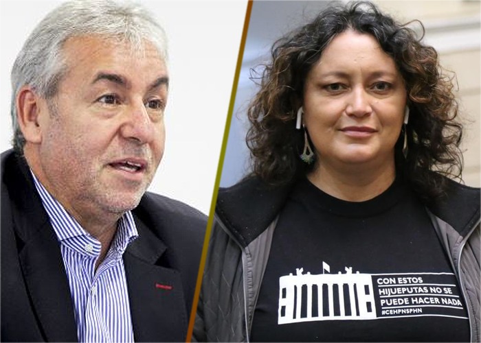 Los Verdes muestran nuevamente sus divisiones internas