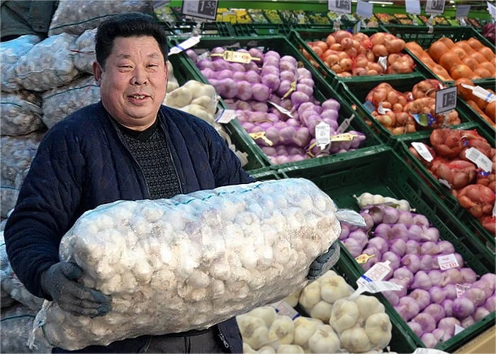 Invasión de ajo Chino en los mercados colombianos