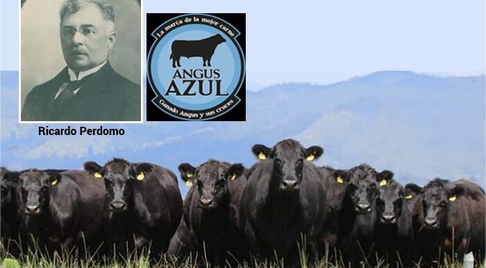 carne.angus - El pionero que trajo la carne más cara que se come en Colombia