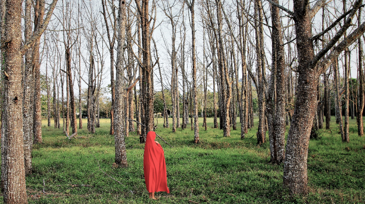 Mayra Díaz, las añoranzas de la piel