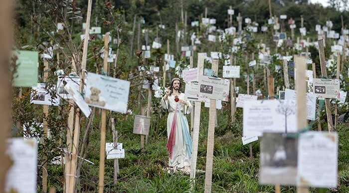  - Un camposanto único donde de las cenizas del covid crecen árboles