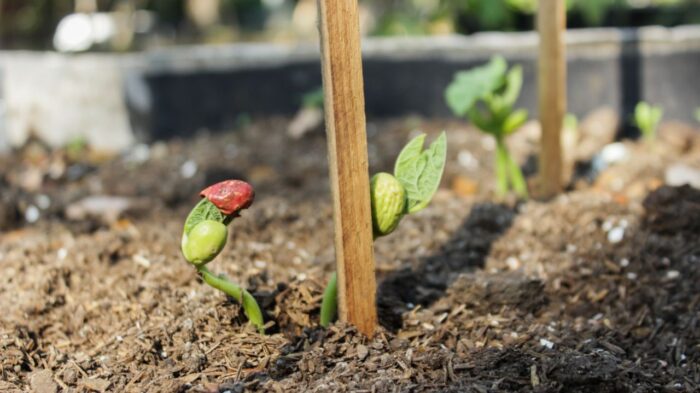  - ¡Que rico sabe la resistencia! El apoyo de las ollas comunitarias para los barrios en Cali