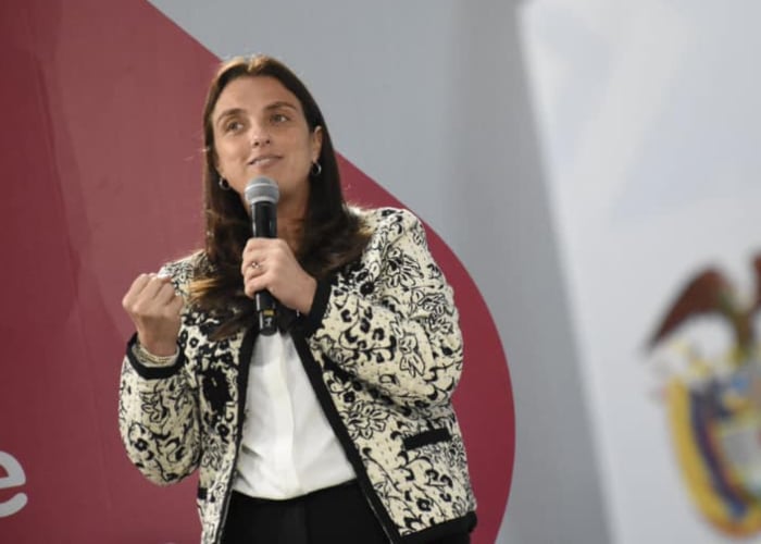 Mintic: los costos de la inexperiencia