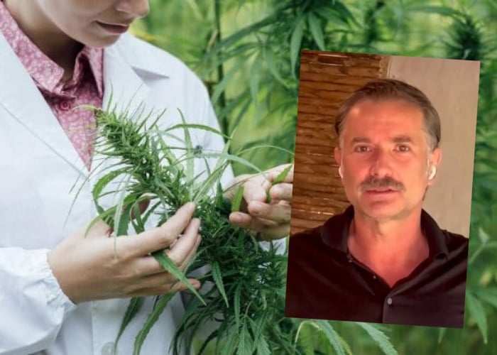 Luis Mesa sale en defensa de la marihuana