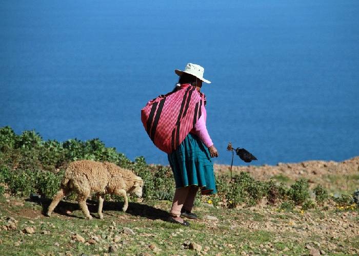 Dejen en las manos de los pueblos indígenas la conservación del medioambiente