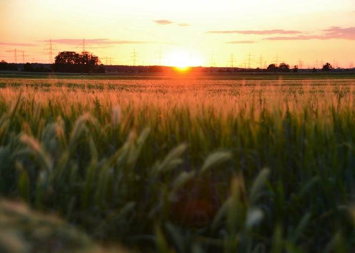 ¿Cuál es la sorpresa; cuál el misterio?