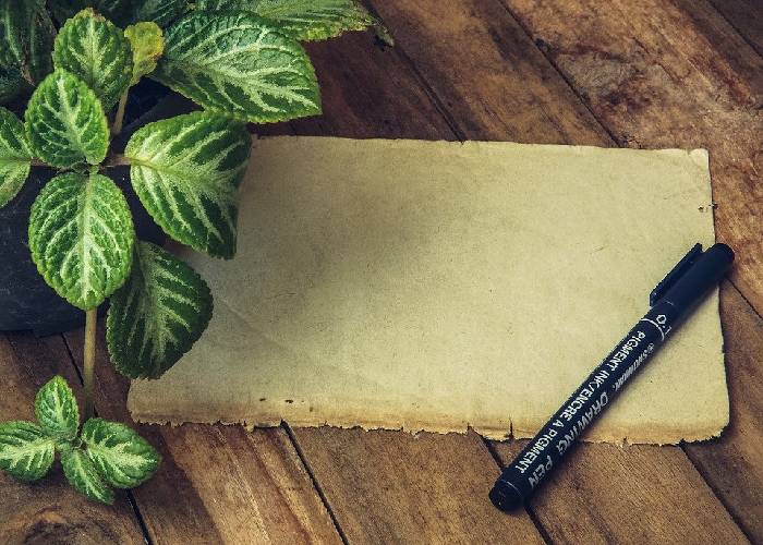 Antes y después del papel