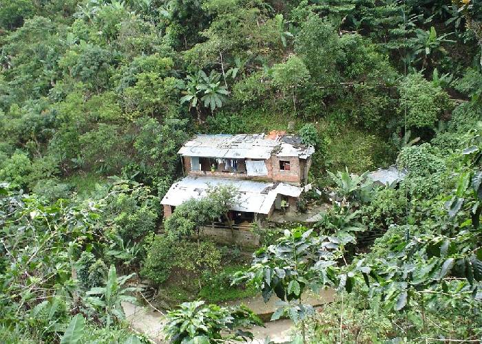 El campo en crisis: una realidad amargamente normalizada