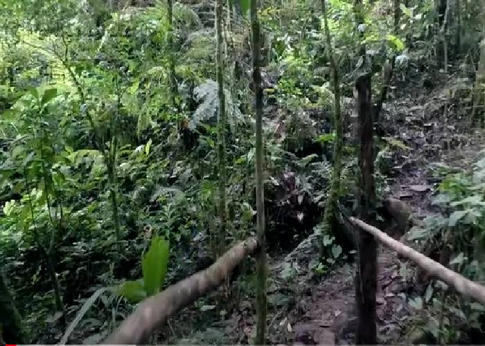 VIDEO: El cerro que fue paradero de los secuestrados de las Farc será sendero turístico