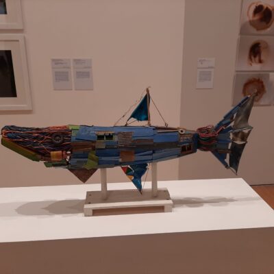 Taúl Ballesteros, Barracusa azul