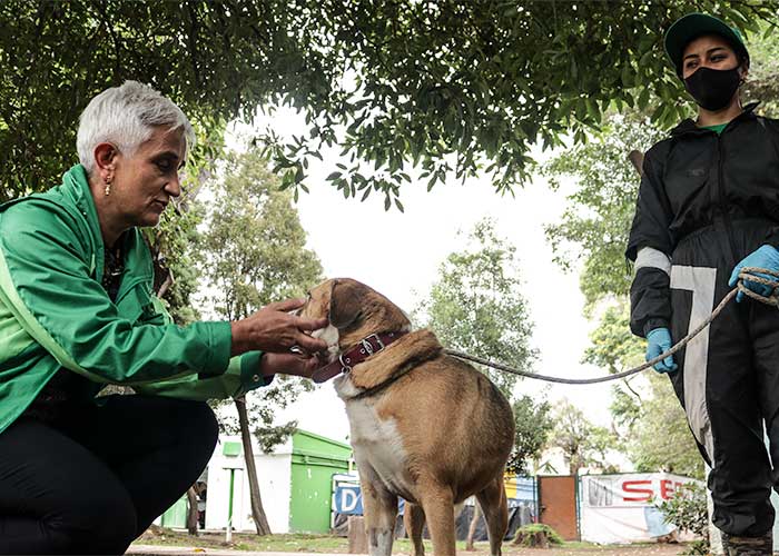  La Perrera de Bogotá, donde electrocutaban mil perros al mes