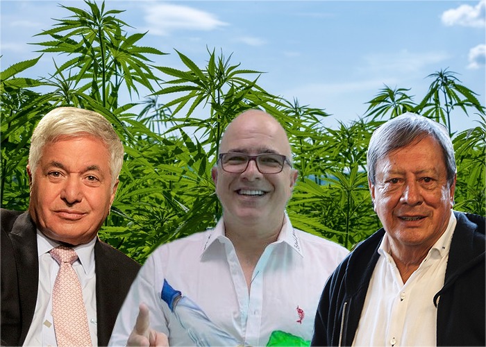 Mario Hernández, C. Daes y Bessudo le apuestan a la marihuana recreativa