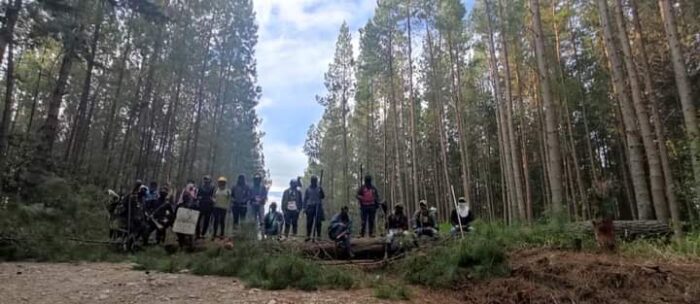 La pelea de los indígenas del Cauca contra la multinacional Cartón Colombia  - Las2orillas