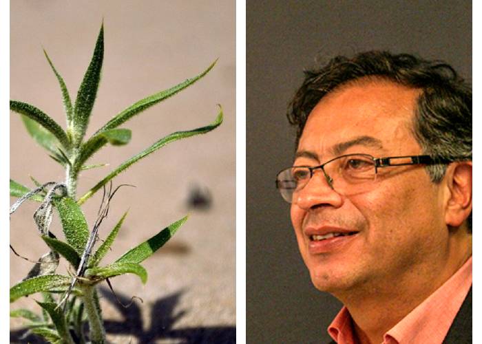 Petro habla sobre cambio climático, pero es mero discurso