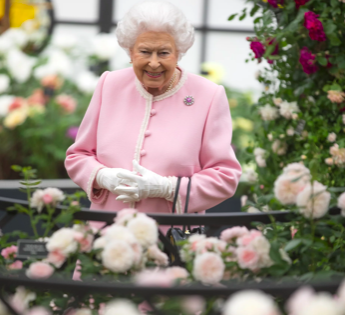  - Los jabones del Grupo colombiano Daabon que la reina Isabel de Inglaterra recomienda