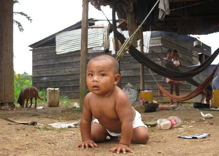 Alerta por abandono del pueblo nukak en Guaviare