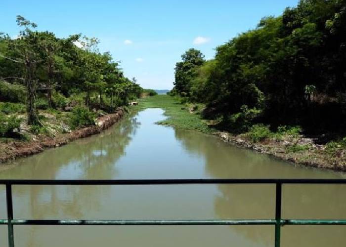 En riesgo la soberanía alimentaria en el Distrito de Riego de Repelón