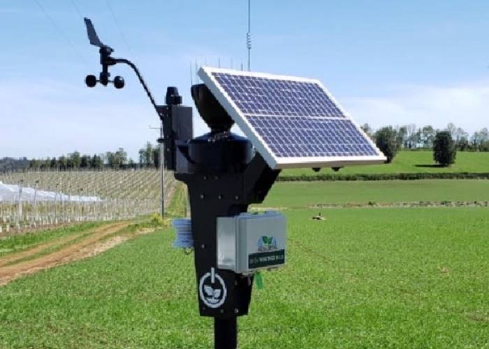 Cómo aumentar hasta 30 % la productividad de los cultivos