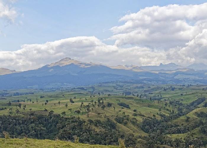 El territorio, la nueva muletilla