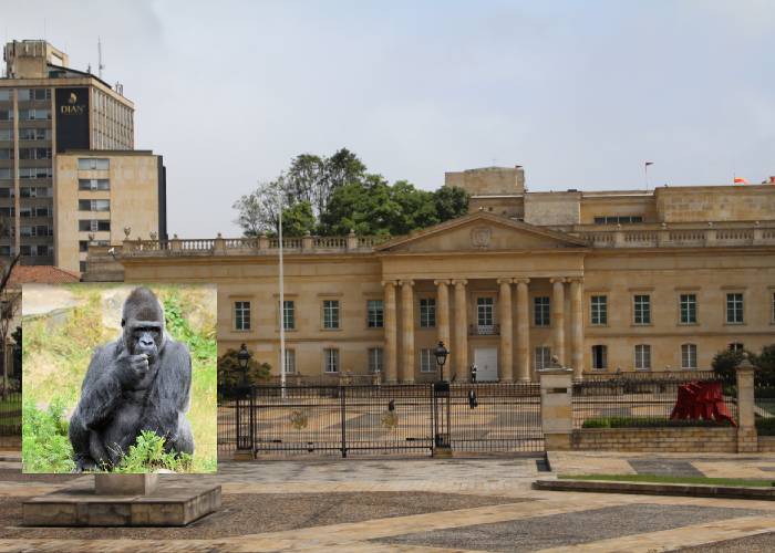 Presupuesto general de la nación no deja un 
