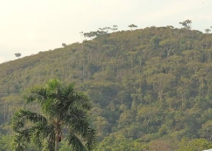 Más protección ambiental para el cerro El Morro