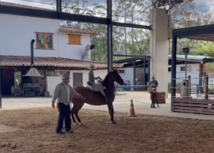 Videos | Nada detiene la fiebre por los caballos de Uribe