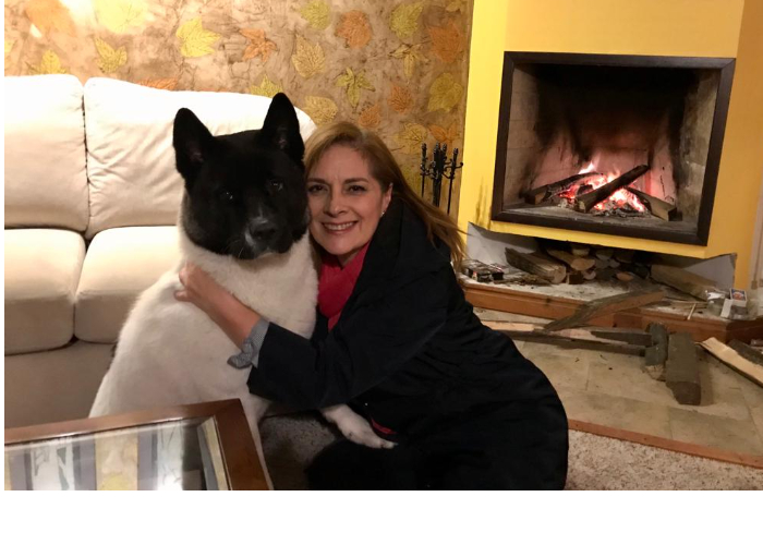 Los perros de mi vida