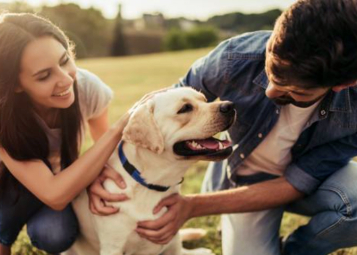 ¿Por qué los jóvenes o se quieren suicidar, o no quieren tener hijos?