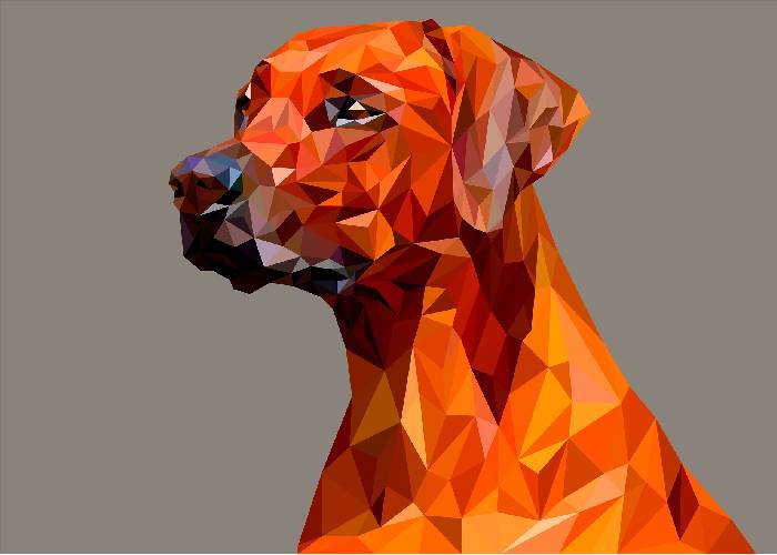 Jornada de adopción animal en el marco de Halloween