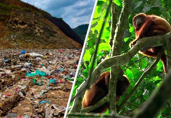 Las toneladas de basura que amenazan el Bosque de Yotoco, en el Valle