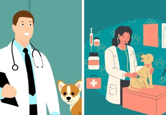 Médicos versus veterinarios