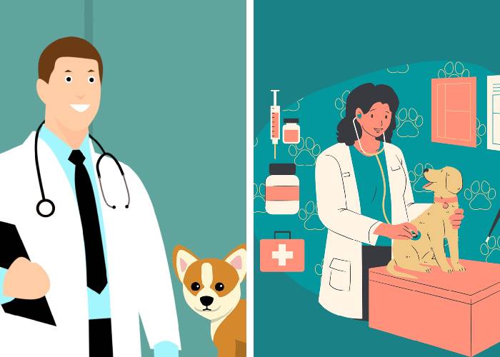 Médicos versus veterinarios