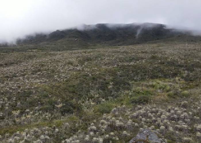 Soldados dan otra 'batalla' por proteger el Páramo de Sumapaz