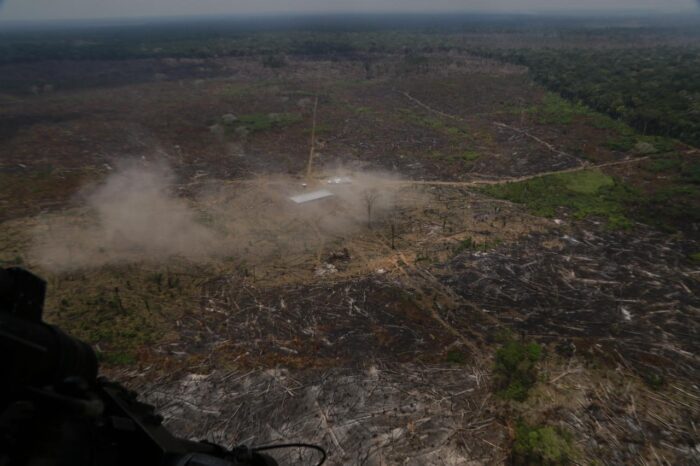  - Los pecados con la Amazonía que los Batista, los grandes ganaderos de Latinoamérica, necesitan limpiar