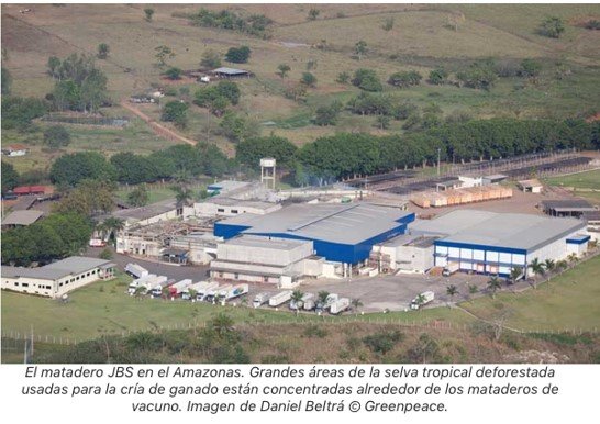  - Los pecados con la Amazonía que los Batista, los grandes ganaderos de Latinoamérica, necesitan limpiar
