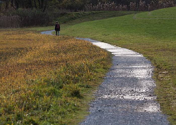 Cuando quiera y como quiera