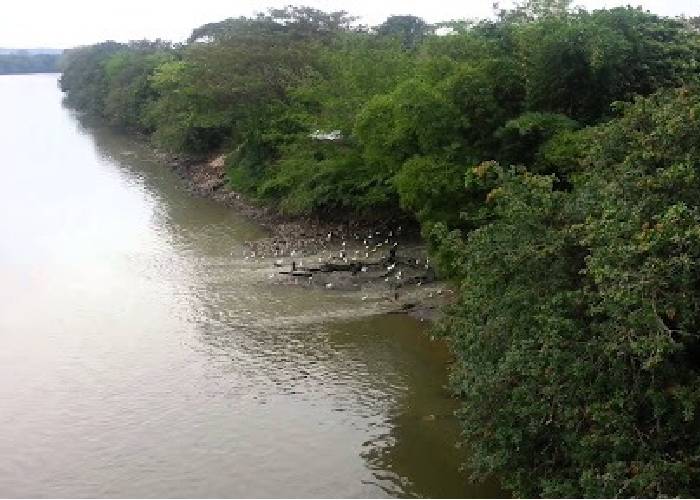 La tragedia de la muerte del río del Oro en Neiva