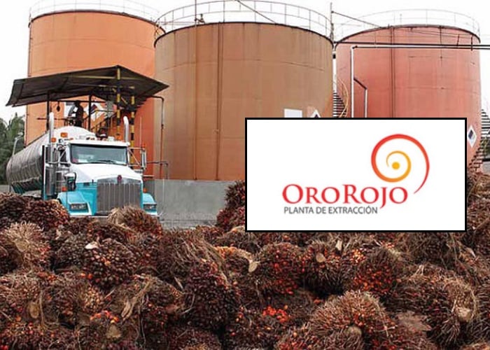 La mega extractora de aceite de palma que tiene amenazado al río Magdalena
