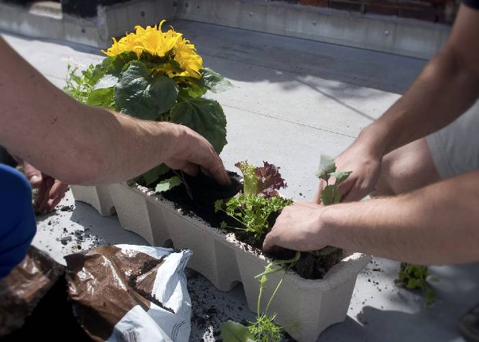 A 5 años del Acuerdo me confieso: me cae bien la gente de Comunes y qué