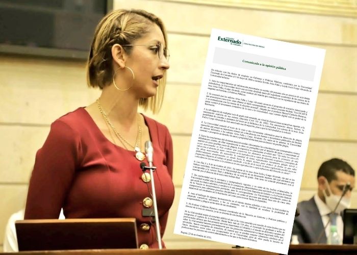 Vergüenza, la presidenta de la Cámara plagió en su tesis de grado