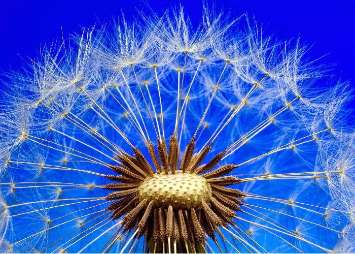 Semillas de cambio, un libro imprescindible