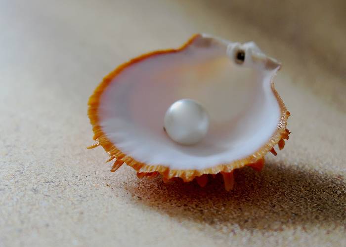 Algunas de las más recientes perlas del centro