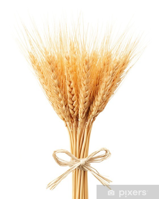  - Llegó el fin de año con sus agüeros