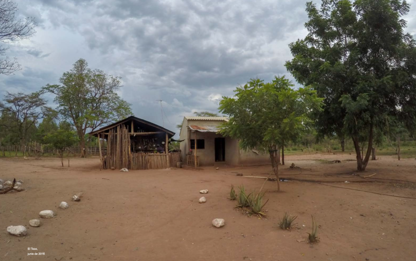  - Empresas europeas, compradoras de un carbón manchado de sangre del Cesar