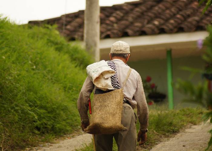 Cómo se vive la Navidad en el campo colombiano